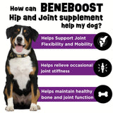 Dinovite BeneBoost Hip & Joint Liquid Topper for Dogs, Dog Joint Supplement with Glucosamine, Chondroitin, MSM & Hyaluronic Acid, Dog Mobility Support, Bacon Flavor, 6 fl oz