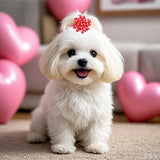 Senniea 60Pcs Dog Bows with Rubber Bands Love Heart Dog Bowknot Hair Bows Red Pink PuppyTopknot Bows for Day Doggie Cat Bunny Yorkie Pet Hair Grooming Accessories (Valentine's Day)