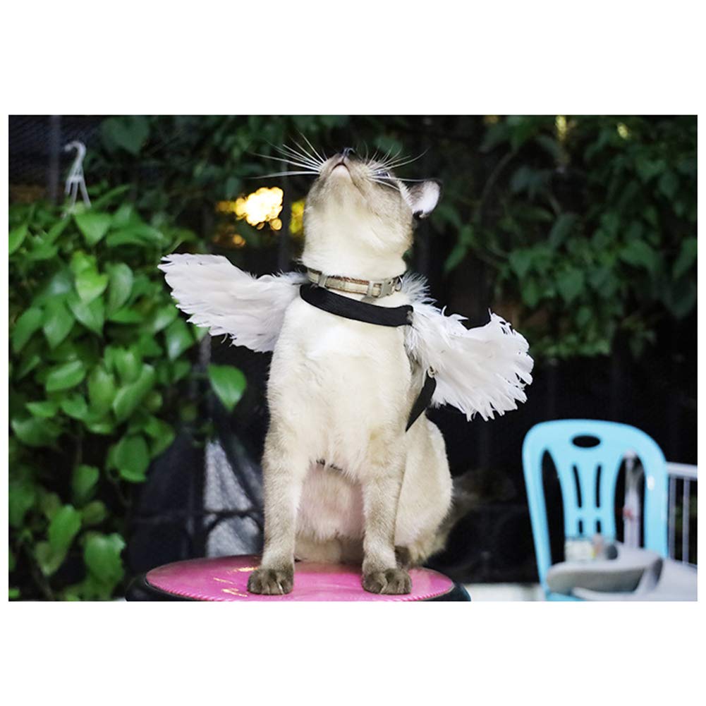 WeeH Pet Halloween Costume Cosplay Angel Devil Black White Wing for Dog Cat Rabbit Piggy - Funny Gift at Halloween Party Anime Theme Birthday Christmas (Black, Large)