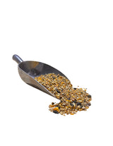Wholesome Harvest All Flock Feed, High Nutrition for Flocks, Non-GMO Duck, Turkey, Geese and Chicken, Whole Grain 10 lbs Pack
