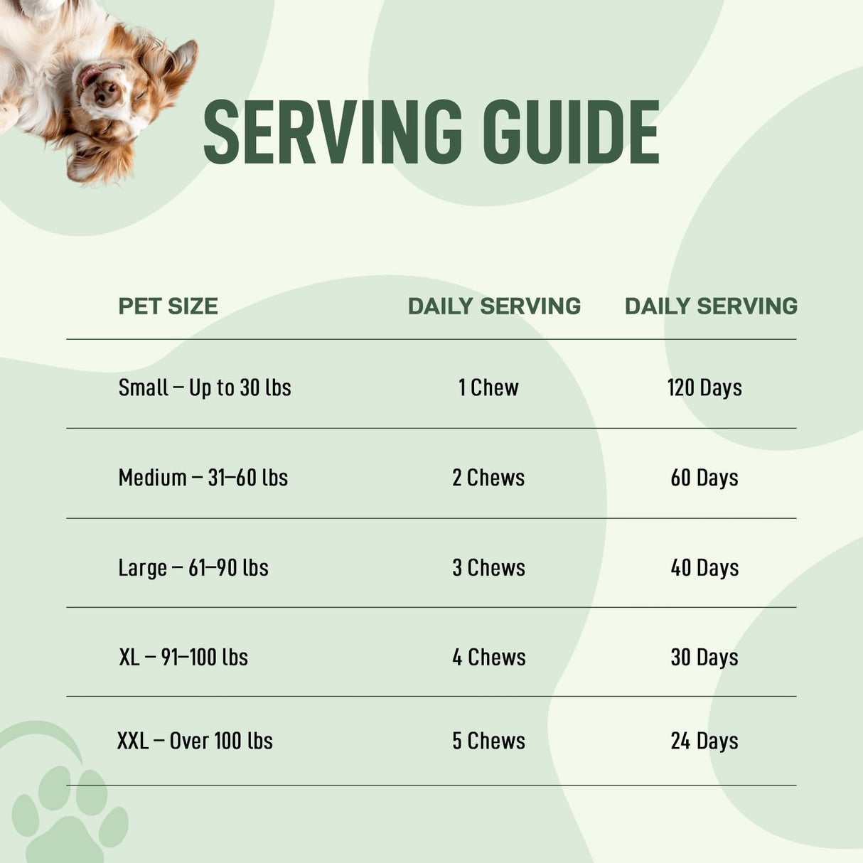 My Dog Sanctuary Probiotics for Dogs 120 Chews - Digestive Enzymes & Gut Health Support with Pumpkin Seed, Ginger Root – Dog Probiotics for Diarrhea, Bowel & Immune Support - Bacon Flavor, Soft Chews