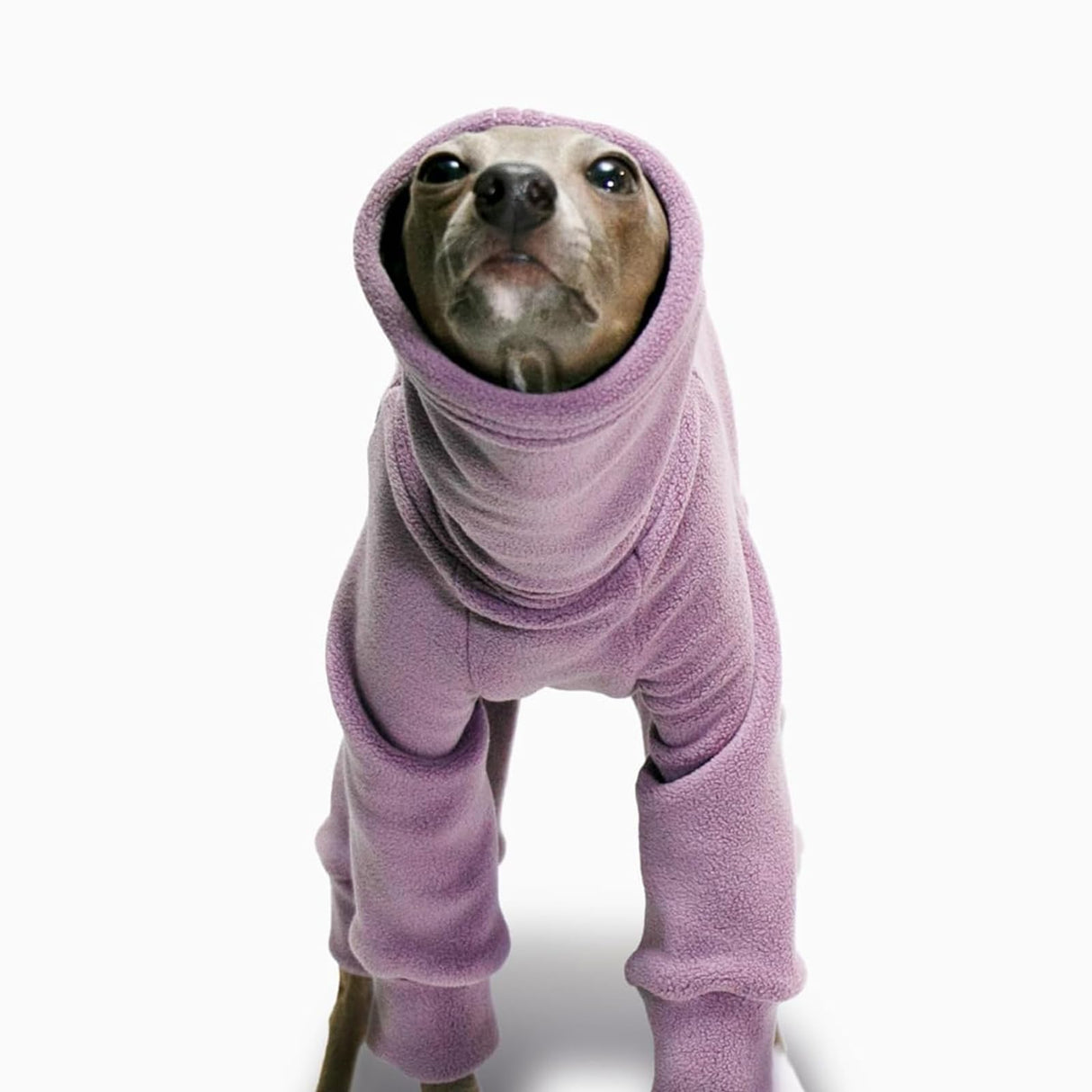 UOSIA Italian Greyhound Onesie Jumpsuit Clothes,Winter Warm Soft Fleece Four-Legged Turtleneck Whippet Thermal Pajamas Full Body Pet Pullover Coats Clothing for Medium Large Dogs