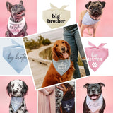 It's A Boy & It's A Girl Dog Bandana Set | Gender Reveal | Baby Announcement Photoshoot Prop | Baby Pink & Baby Blue | Pack of 2 | One Size (57) GB