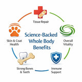 Dr. Goodpet Canine Digestive Enzymes Powder for Dogs – Supports Healthy Digestion, Gas Relief & Nutrient Absorption – Human-Grade Enzymes (Protease, Amylase & Lipase) – 7oz Digestive Supplement