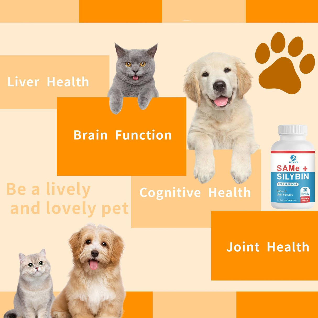 Same and Silybin for Dogs - S-Adenosyl-L-Methionine, Same for Dogs, Liver Supplements for Dogs, Hepatic Supplement for Liver & Brain, Dog Liver Support (Same+Silybin), All Dogs (Under 120 lbs)