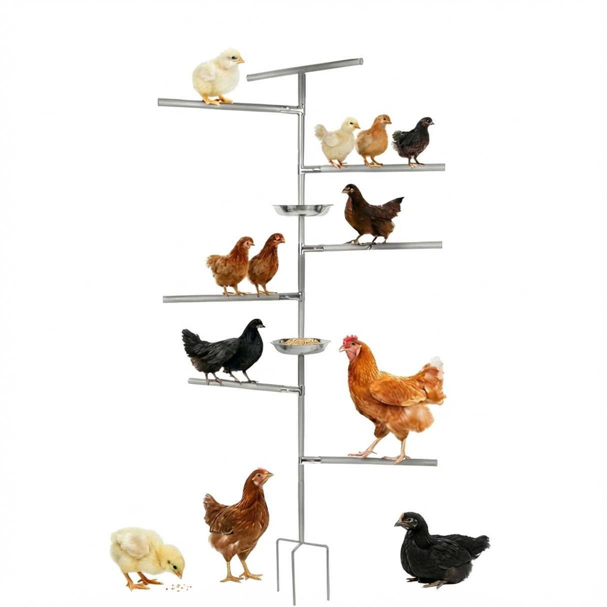 Chicken Perch Toy for Coop,Wooden Chicken Perch Stand with Metal Ground Plug&Feeding Tray,Roosting Bar for Chicken Coop Toys,Chicken Coop Accessories for Bird Parrot Poultry Rooster