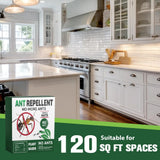 Ant Repellent Indoor Pet Safe, Ant Repellent Outdoor, Get Rid of Ant, Keeps Ants Away, Ant Deterrent for Home, Protects up to 120 sq ft, Natural Ingredients, People/Pet/Plant Friendly- 4P