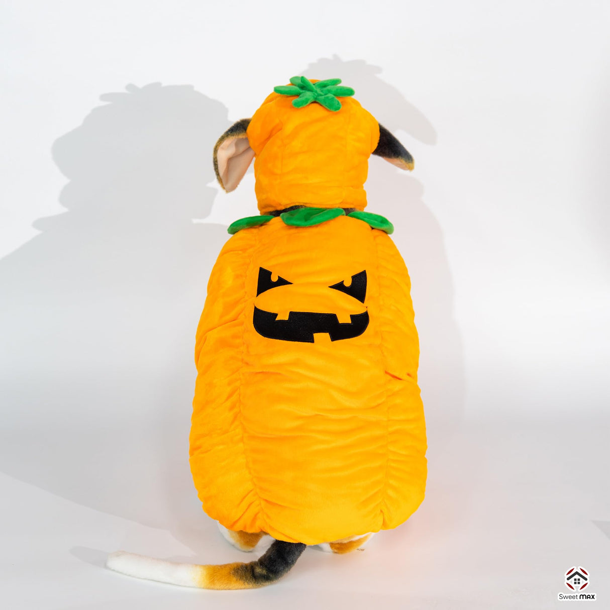 Pumpkin Dog Costume Pumpkin Pet Cosplay Outfits Hat Cute Novelty Pet Halloween Costume Party Favors Birthday Clothes Cats Dogs Orange (Pumpkin Dog Costume, Medium)