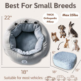 MORULINI Orthopedic Dog Car Seat for Small Breeds - Original Calming Burrow Nest for Car Anxiety Relief - 6” Memory Foam Booster & Travel Bed - for Dogs Under 25lbs, Frenchie, Chihuahua