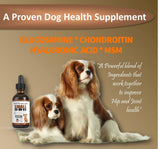NODENS Small Dog Hip and Joint Liquid Glucosamine for Dogs – Small Dog Joint Supplement for Senior Dog Pain Relief Anti-inflammatory for Improved Joint Flexibility & Mobility 2oz