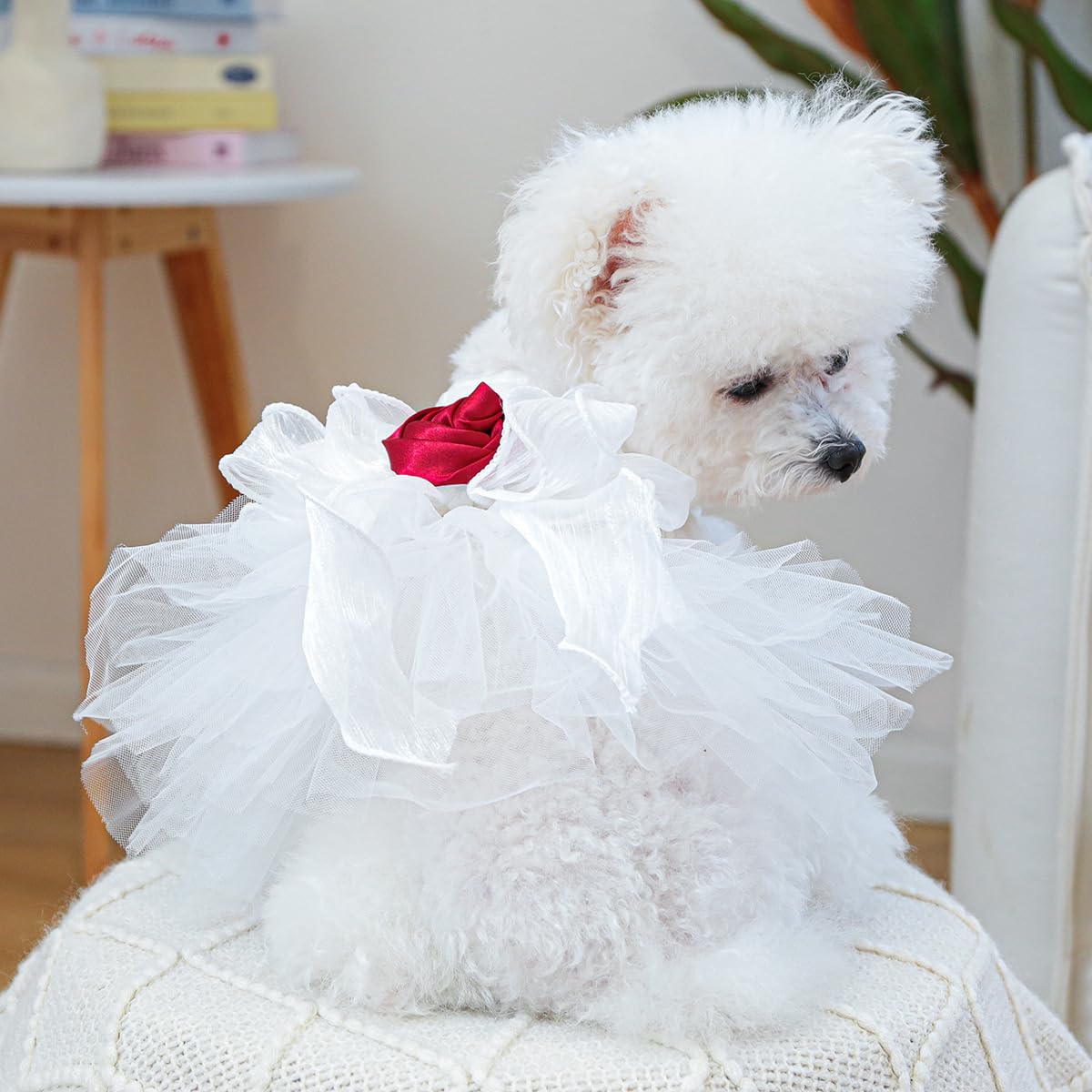 Furbabycare Autumn Winter Fashion Sweet Puppy Dog Blingbling Princess Skirt Dress for Small, Extra Small Dogs - White, Floral, Polyester Blend, XS (Chest:11.0" Body Length:7.0")