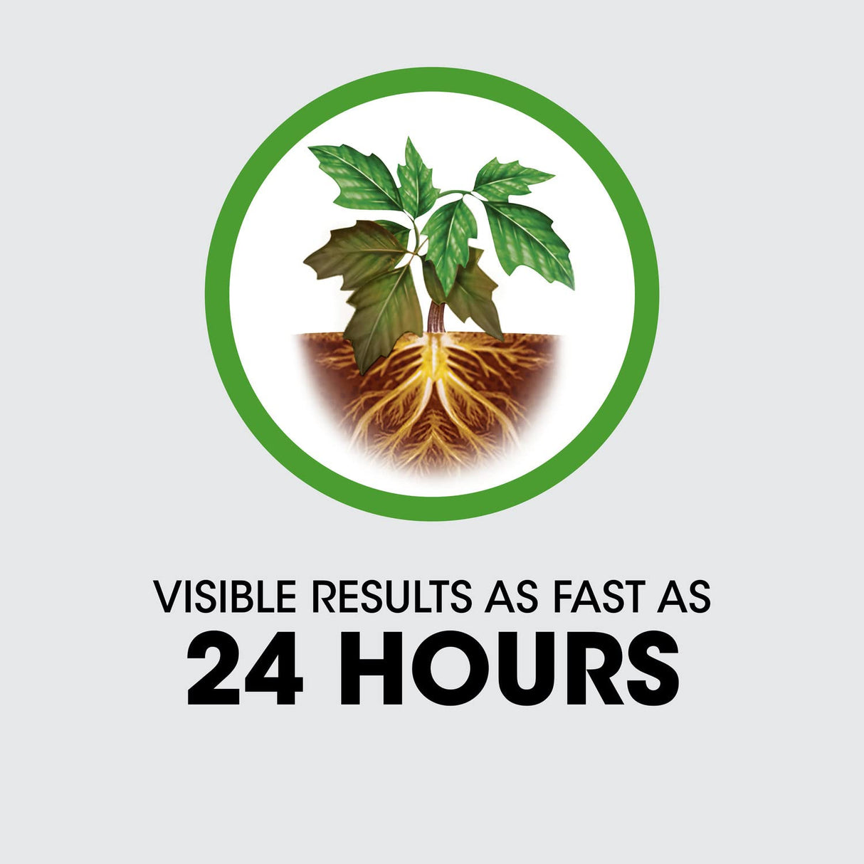 Roundup Concentrate Poison Ivy Killer Plus Tough Brush Killer for Weeds, Grass, Stumps with 24 hours Results, 32 oz.