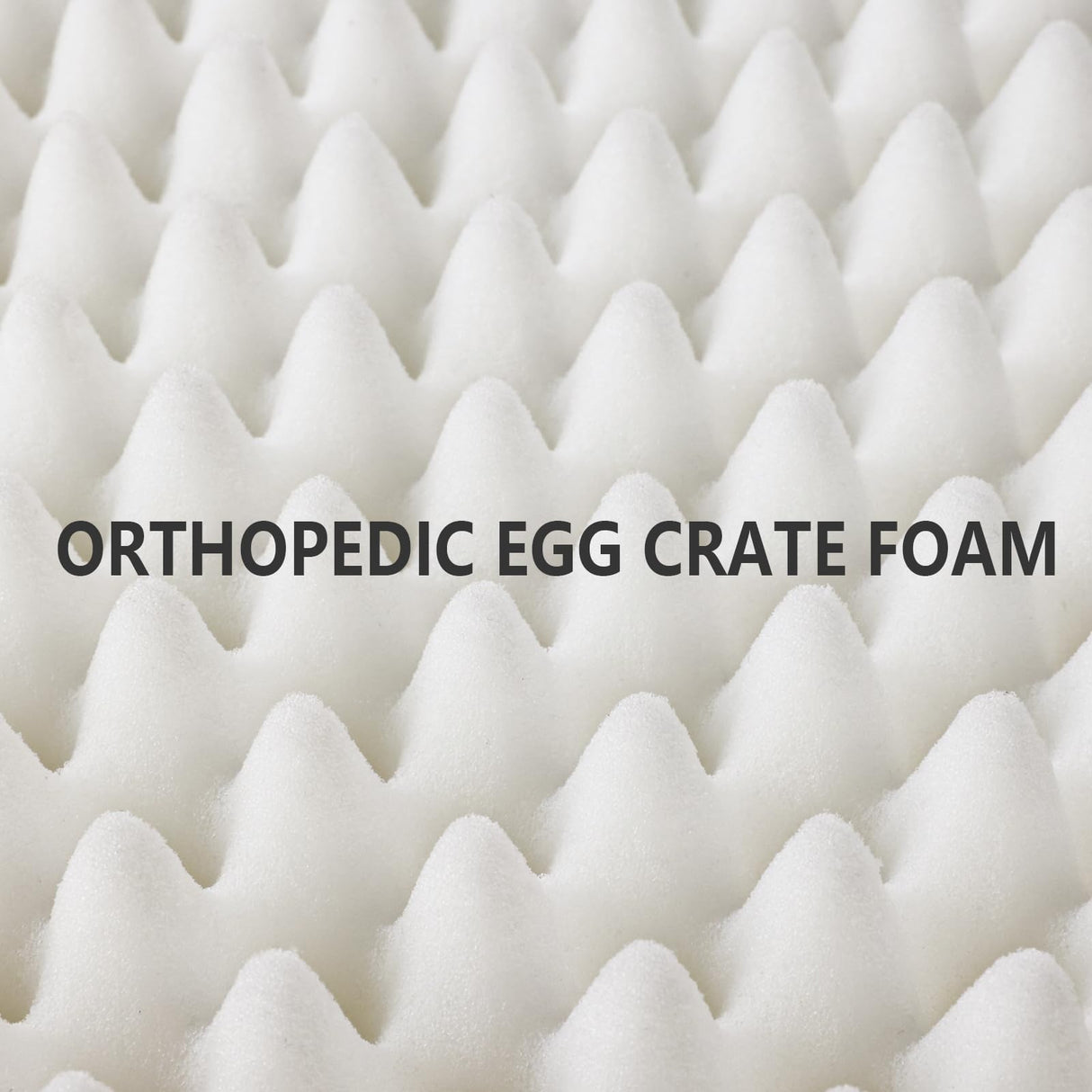 Patas Lague Orthopedic XL Dog Bed Large Sized Dog 42''X28'', Soft Waterproof Egg Crate Foam Large Pet Crate Beds Mat with Removable Washable Cover and Non-Slip Bottom, Brown