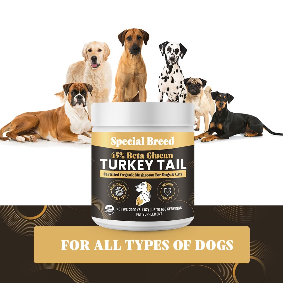 Organic Turkey Tail Mushroom for Dogs and Cats, 45% Beta Glucan Standardized, Hot Water Extracted Whole Fruiting Body, Third Party Tested, Immune and Gut Support, No Fillers, Made in USA, 660 ct