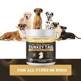 Organic Turkey Tail Mushroom for Dogs and Cats, 45% Beta Glucan Standardized, Hot Water Extracted Whole Fruiting Body, Third Party Tested, Immune and Gut Support, No Fillers, Made in USA, 660 ct