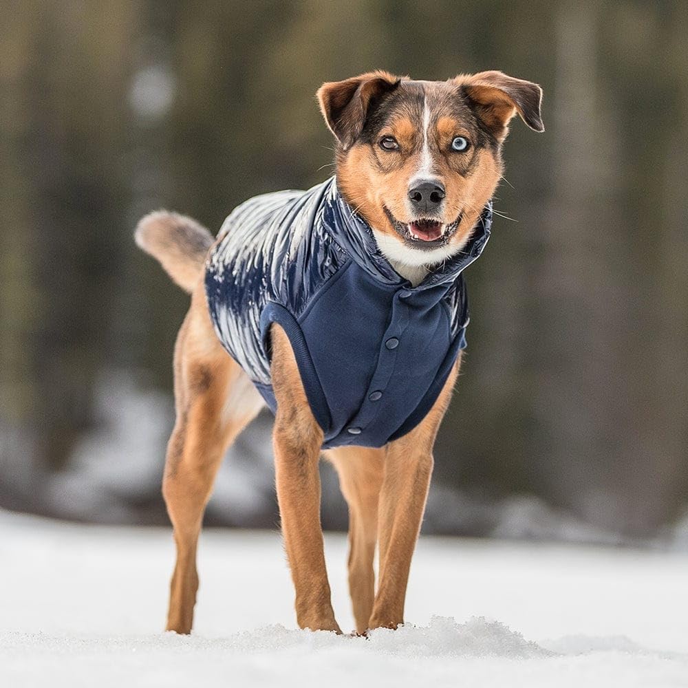 Blueberry Pet Cozy & Comfy Windproof Lightweight Quilted Fall Winter Glossy Dog Puffer Jacket in Navy Blue, Back Length 12.5", Size 10, Warm Coat for Small Dogs
