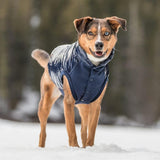 Blueberry Pet Cozy & Comfy Windproof Lightweight Quilted Fall Winter Glossy Dog Puffer Jacket in Navy Blue, Back Length 12.5", Size 10, Warm Coat for Small Dogs