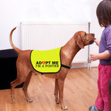 CENWA Adopt I’m A Foster Jacket Vest Adopt Dog Jacket Vest New Puppy Dog (I'm A Foster L)