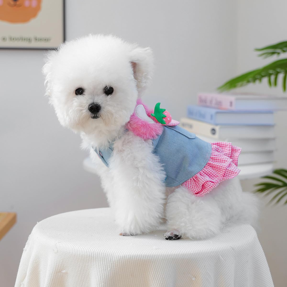 Dog Denim Vest Dress Cute Flower Puppy Vintage Jean Shirt Jacket Small Dog Girl Stylish Costume Chihuahua Pomeranian Yorkie Teacup Clothes Christmas Holiday Birthday Cat Outfits