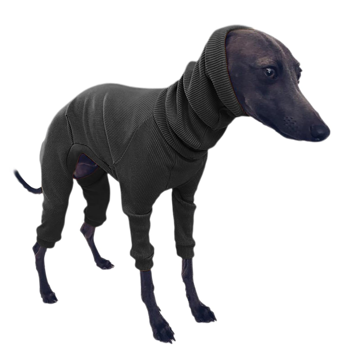 HQREA Italian Greyhound Pajamas Solid Four-Legged Rib Dog Onesie Lightweight Turtleneck Elastic Whippet Sweater Jumpsuit Pet Clothes for Small Medium Large Dogs(Black,L)