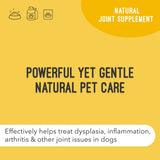 ArthriMAXX Dog Supplement for Joint Inflammation & Arthritis, Naturally Potent Dog Joint Care, Antioxidant Formula with MSM, Chondroitin, Vitamin C, & Glucosamine for Dogs, 32 fl oz