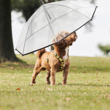 ZEFOXETO Pet Dog Transparent Umbrella, Clear Folding Adjustable Leash, Keeps Pet Dry in Rain (Bending Hook)