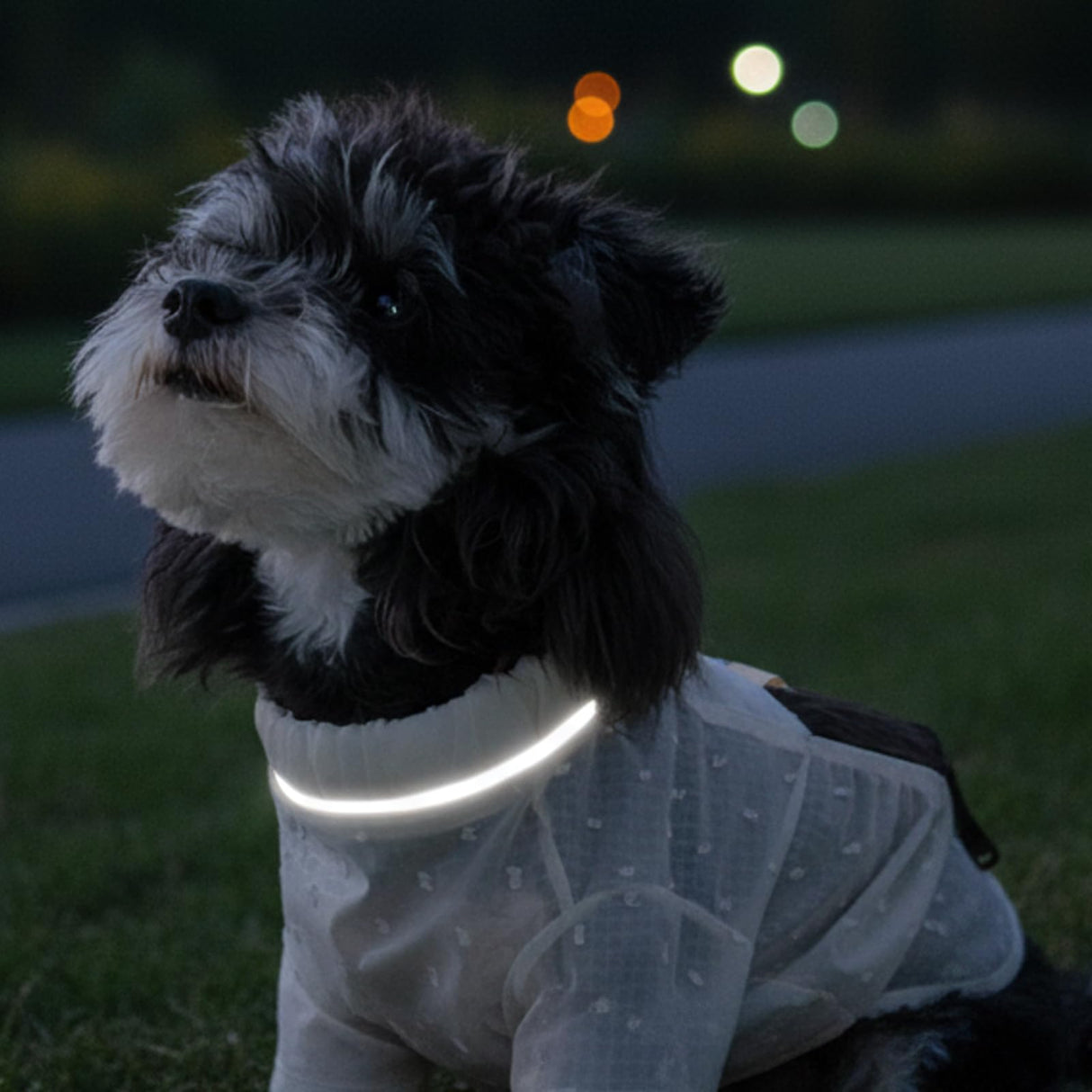 Anti Dust Pants with Shoes for Dogs, Dog Suspenders Boots, Waterproof Protective Dog Clothing, Medium Size, Jacquard Chiffon Waterproof Coated Fabric