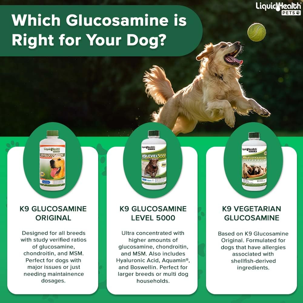 LIQUIDHEALTH Pets K9 Liquid Glucosamine for Dogs, Puppies, Senior Canines with Chondroitin, MSM, Hyaluronic Acid - Dog Vitamins for Hip & Joint Health, Dog Joint Oil, Joint Juice - Made in USA (32 oz)