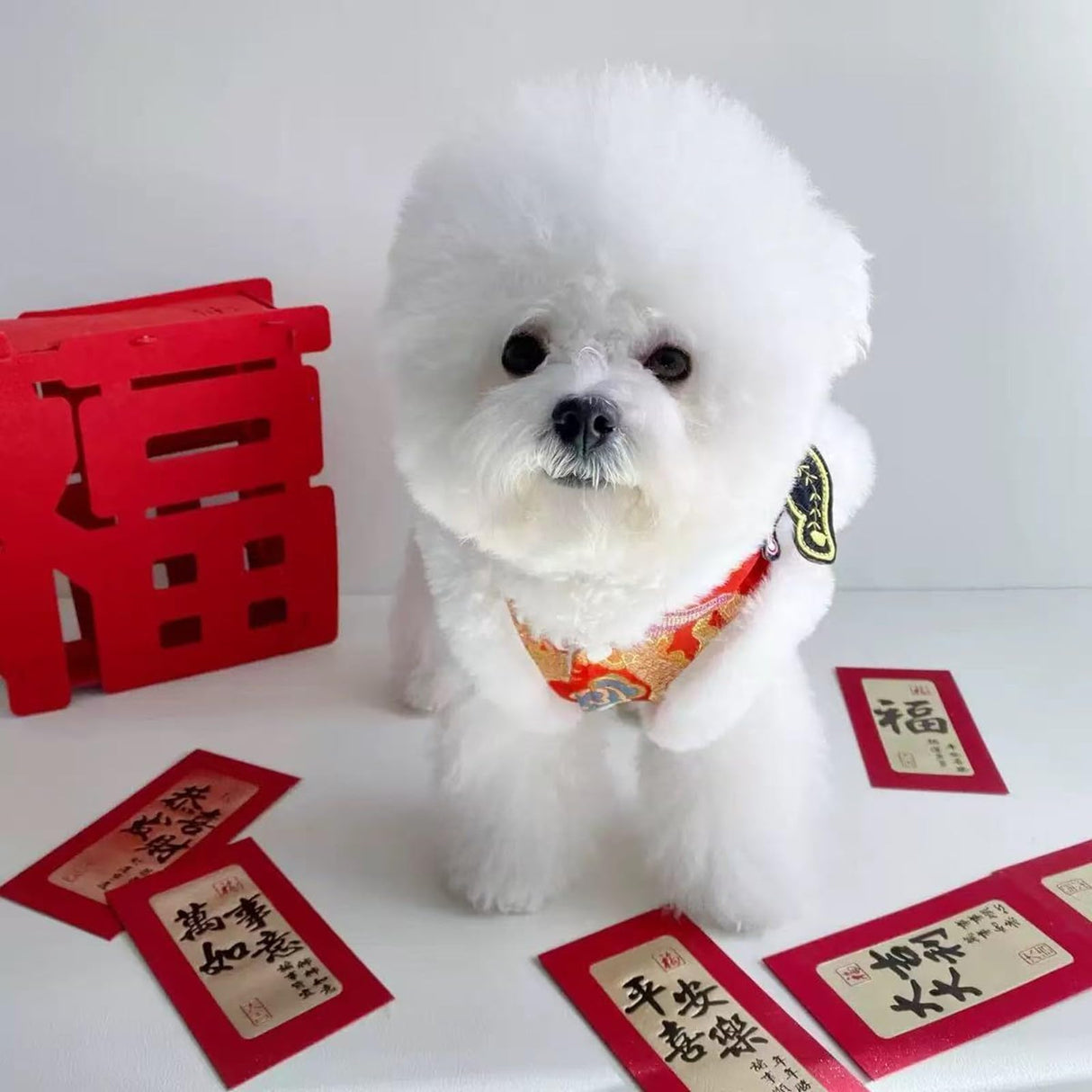 Generic 2026 New Chinese New Year Dog Outfit, Lion Dance Dog Costume, Cat Clothes for Cats, Dog Clothes Pet Costume (S)