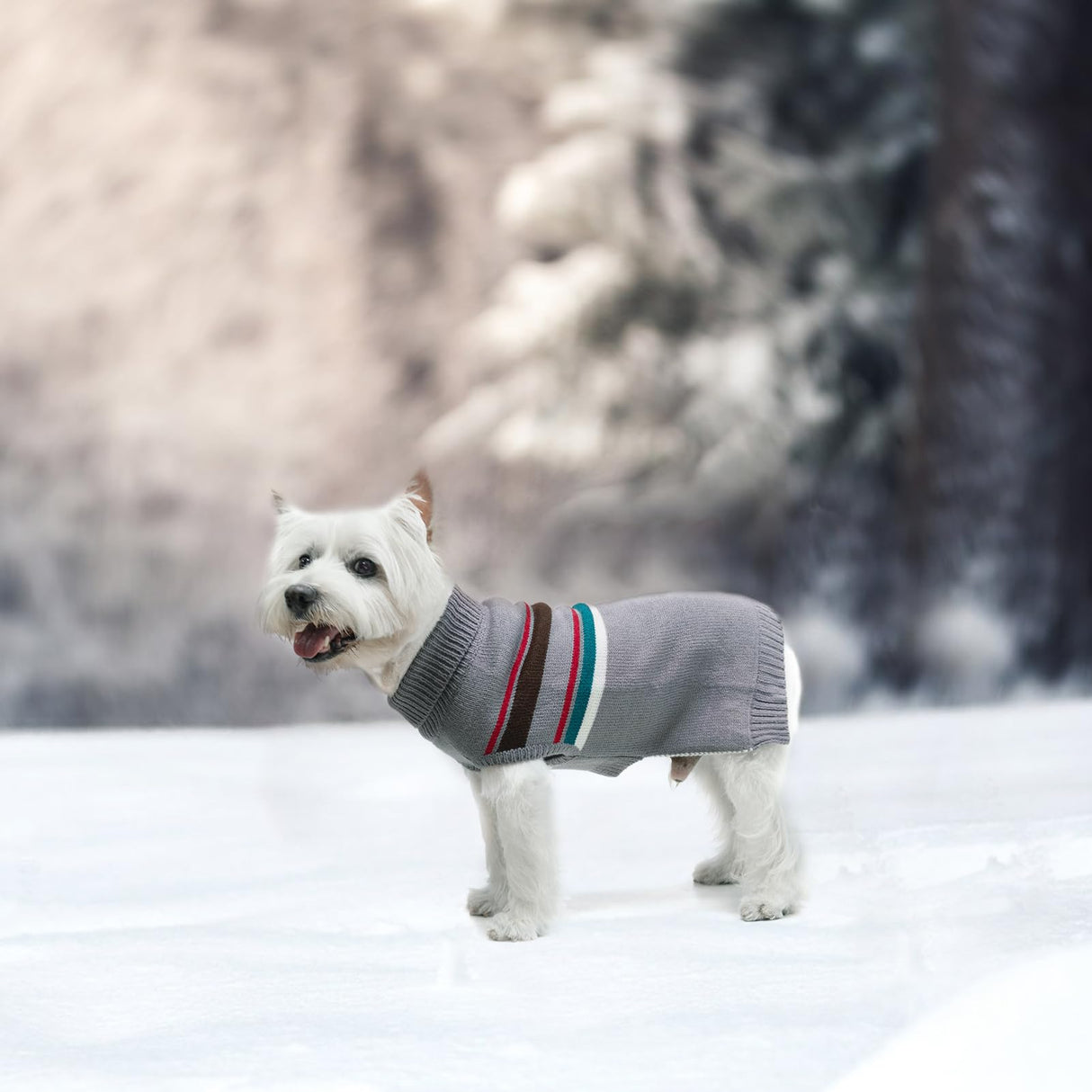 PAWCHIE Dog Sweater - Warm Coat Turtleneck, Stretchy Knitted Dog Outfit with Leash Hole, Grey S - Small to Large Doggy Puppy Cat