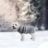 PAWCHIE Dog Sweater - Warm Coat Turtleneck, Stretchy Knitted Dog Outfit with Leash Hole, Grey S - Small to Large Doggy Puppy Cat