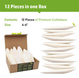 Sepia King - Medium - 100% Natural Calcium Supplement - Premium Cuttlebone Perfect for Birds, Tortoises, Snails, Reptiles - 12 Pack
