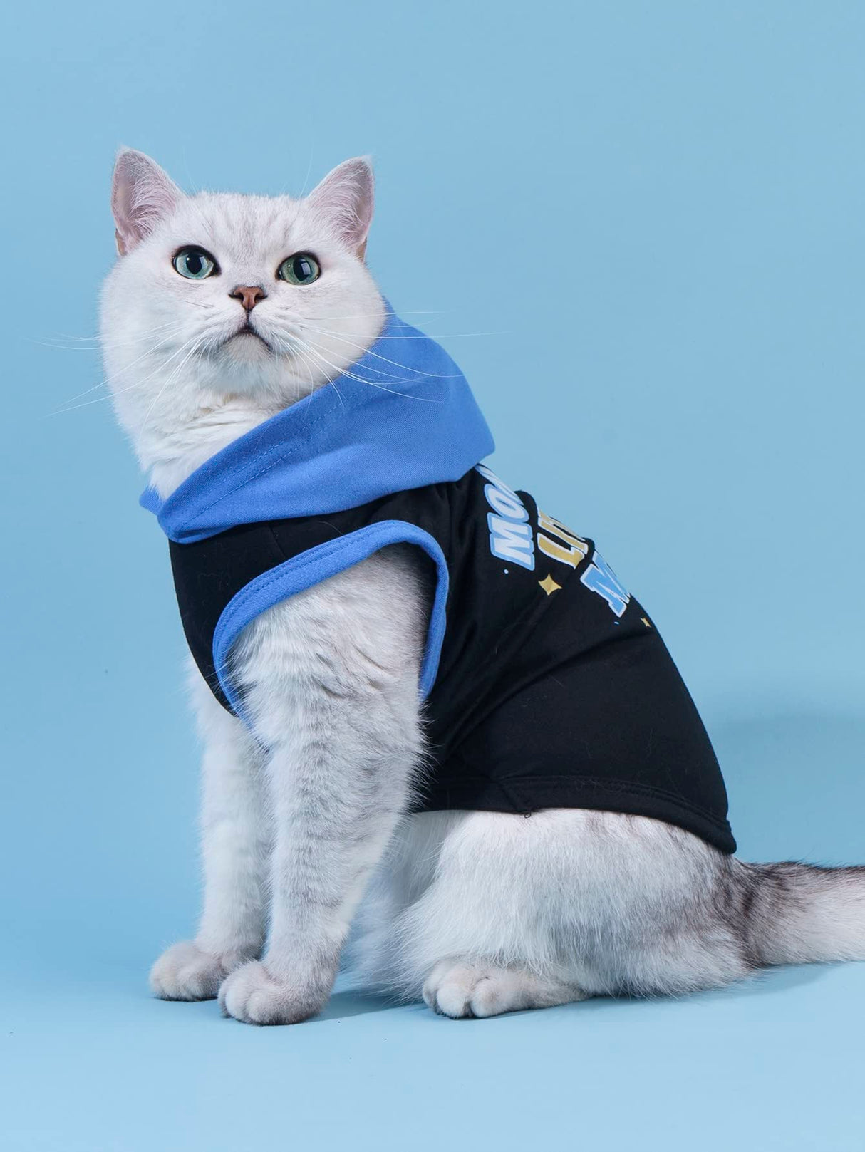 QWINEE Mom Boy Dog Hooded Tank Tops Letter Print Cat Puppy Hoodie Vest Sleeveless Pullover Dog Shirt Stretchy Pet Clothes for Small Medium Large Cats Dogs Kitten Blue L