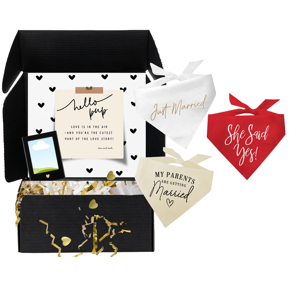 Dog Bridal, Wedding Gift Box – 3 Cotton Bandanas (My Parents are Getting Married, Just Married, She Said Yes!) & Magnetic Photo Frame 2.5" x3,5 |Red, One Size (332)