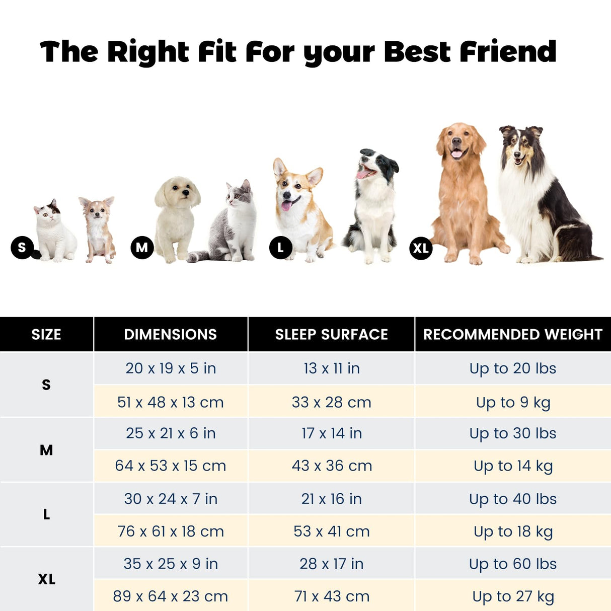 Miguel Dog Bed with Removable Cushion/Pillow for Medium Small Dogs, Washable Pet Bed with Side Easy to Wash Puppy Bed, Large Rectangle Cat Bed for Indoor Cat with Anti-Slip Bottom, Blue 35 Inch