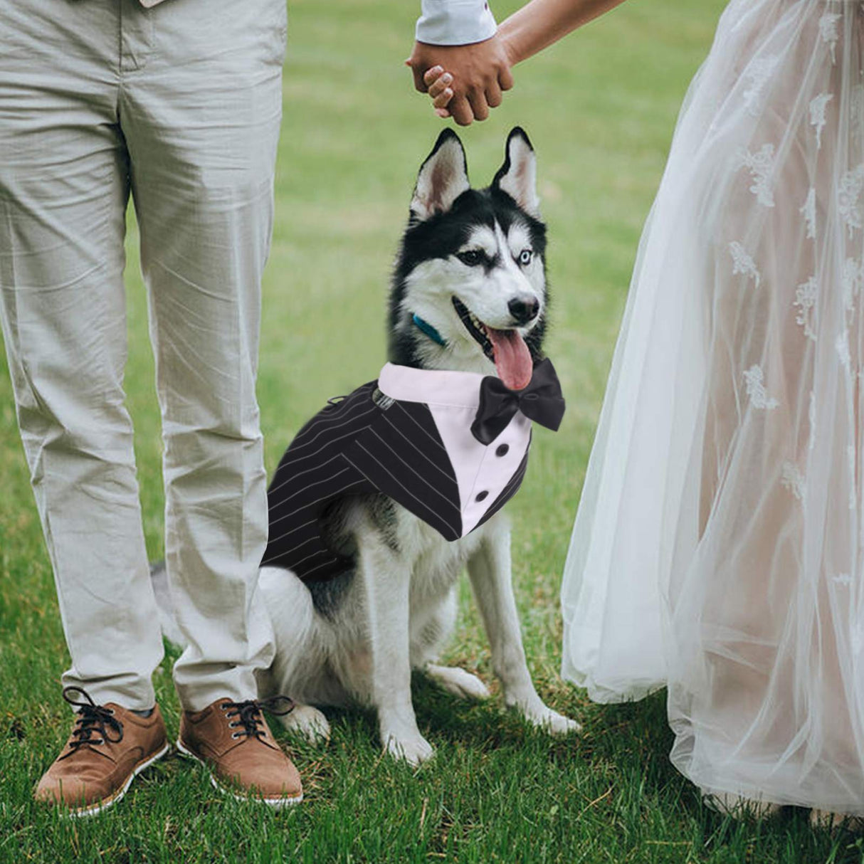 IDOMIK Dog Tuxedo for Small Medium Large Doggie, Detachable Dog Formal Wedding Suit with Tuxedo Vest & Bow Ties Collar & Bandana Scarf Set, Wedding Attire Shirt for Birthday Party Costume