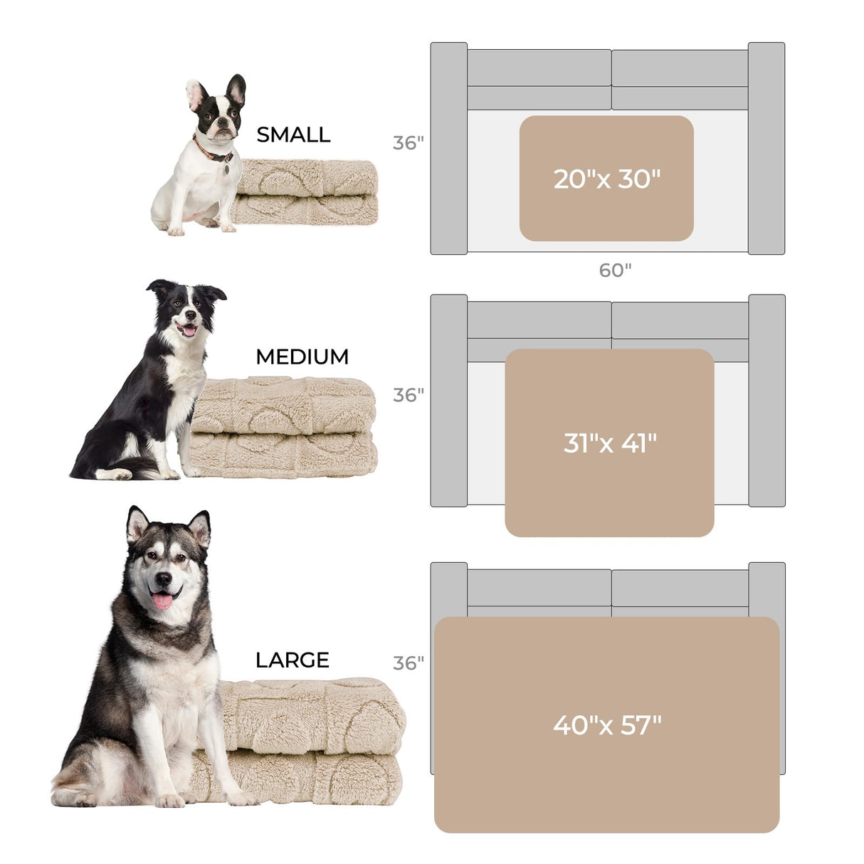 Luciphia 1 Pack 2 Small Dog Blanket Washable Pet Bed Cover Soft Fluffy Puppy Blanket with Premium Fleece 300GSM Cozy Calming Cat Blankets for Indoor Cats Beige 30x20 inch