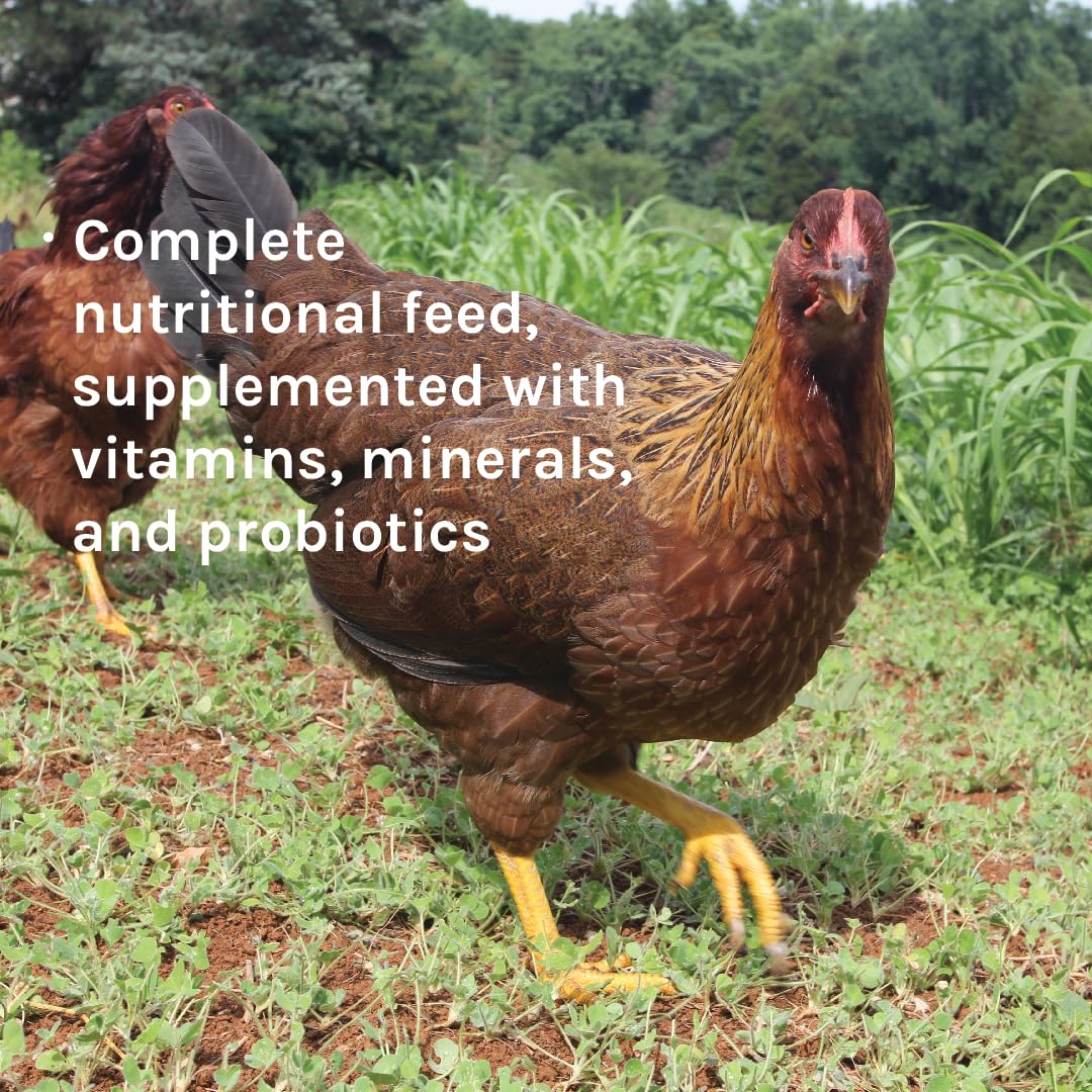 New Country Organics | Classic Grind Layer Chicken Feed for Laying Hens | Ground Grain | Soy-Free | 17% Protein | Certified Organic & Non-GMO Chicken Food | 50lbs Bag