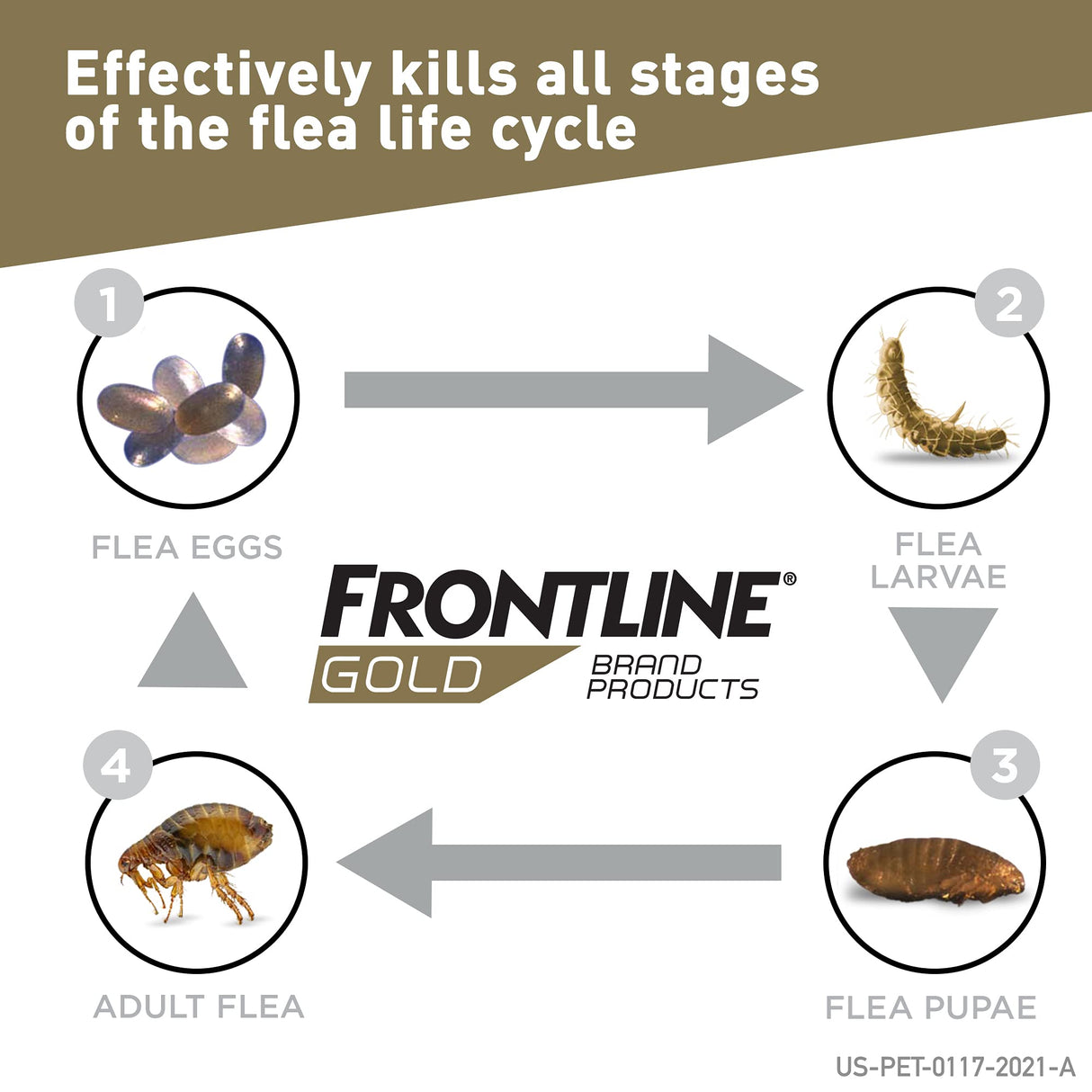 FRONTLINE Gold Flea & Tick Treatment for Medium Dogs Up to 23 to 44 lbs., Pack of 3