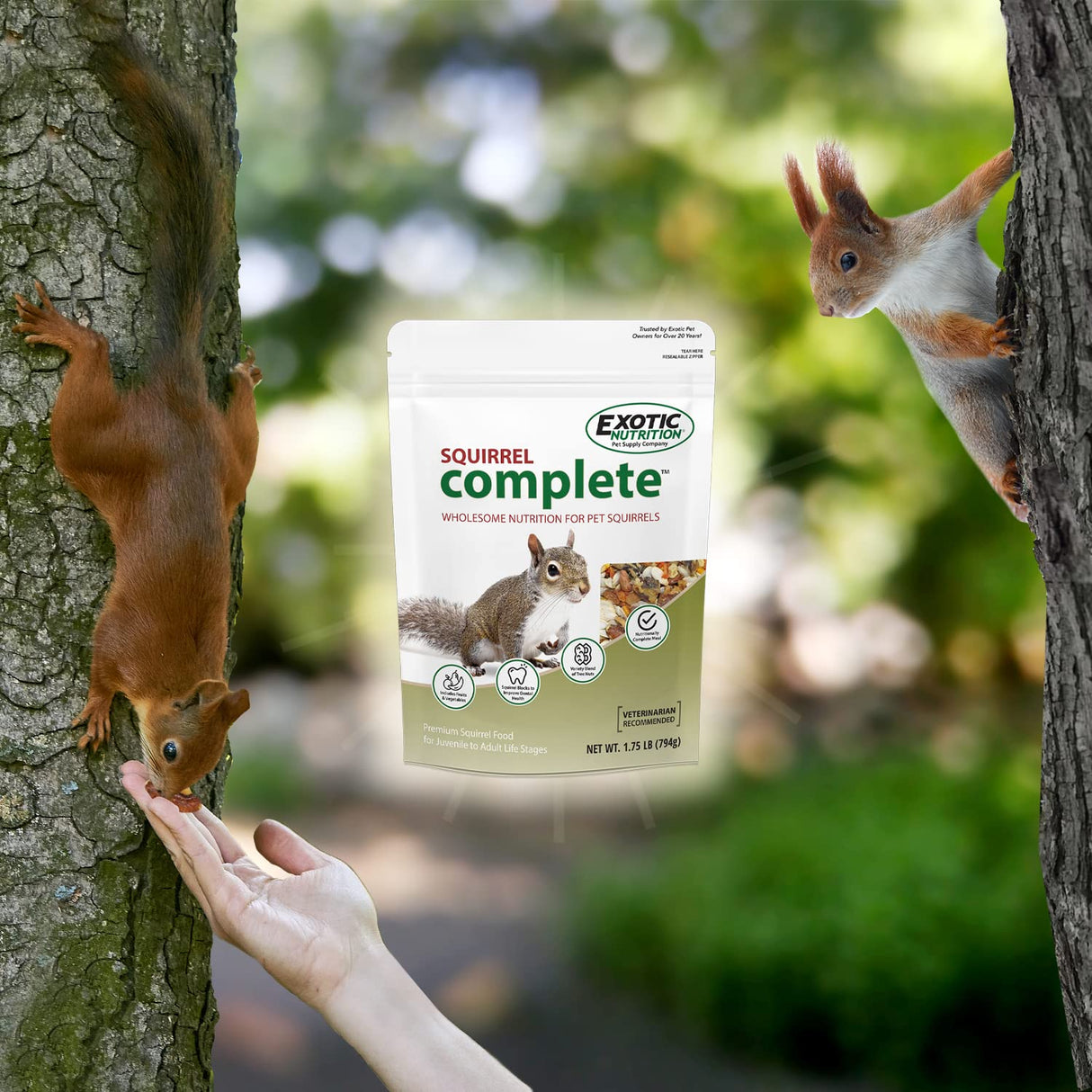 Exotic Nutrition Squirrel Complete (4 lb.) - Healthy Natural Food for Squirrels - Ground, Grey, and Flying Squirrels