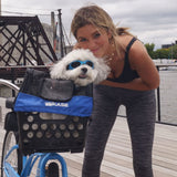BiKase Durable Dog Bike Basket & Carrier, Rear Mount Pet Basket for Bikes with Super Comfort Mat and Cover, Ideal for Small Dogs and Cats up to 12 lbs