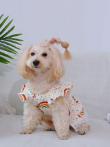 QWINEE 2pc Cute Dog Dress Ruffle Trim Princess Dress Cat Vest Dress Lace Trim Summer Dress Pet Clothes for Small Medium Cats Dogs Kitten Puppy Multi L