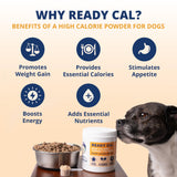 Under the Weather Ready Cal Powder for Dogs, High-Calorie Weight Gainer & Appetite Stimulant, Dog Energy Booster Veterinarian-Approved Pet Supplement with Vitamins & Minerals, Chicken Flavor |10.58 oz
