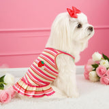 XGDMEIL Cute Small Dog Dress Girl Female Dog Clothes Spring Summer Pet Puppy Cats Striped Dress Outfits for Shih Tzu Yorkies Chihuahua Maltese(4 Pcs,X-Large)