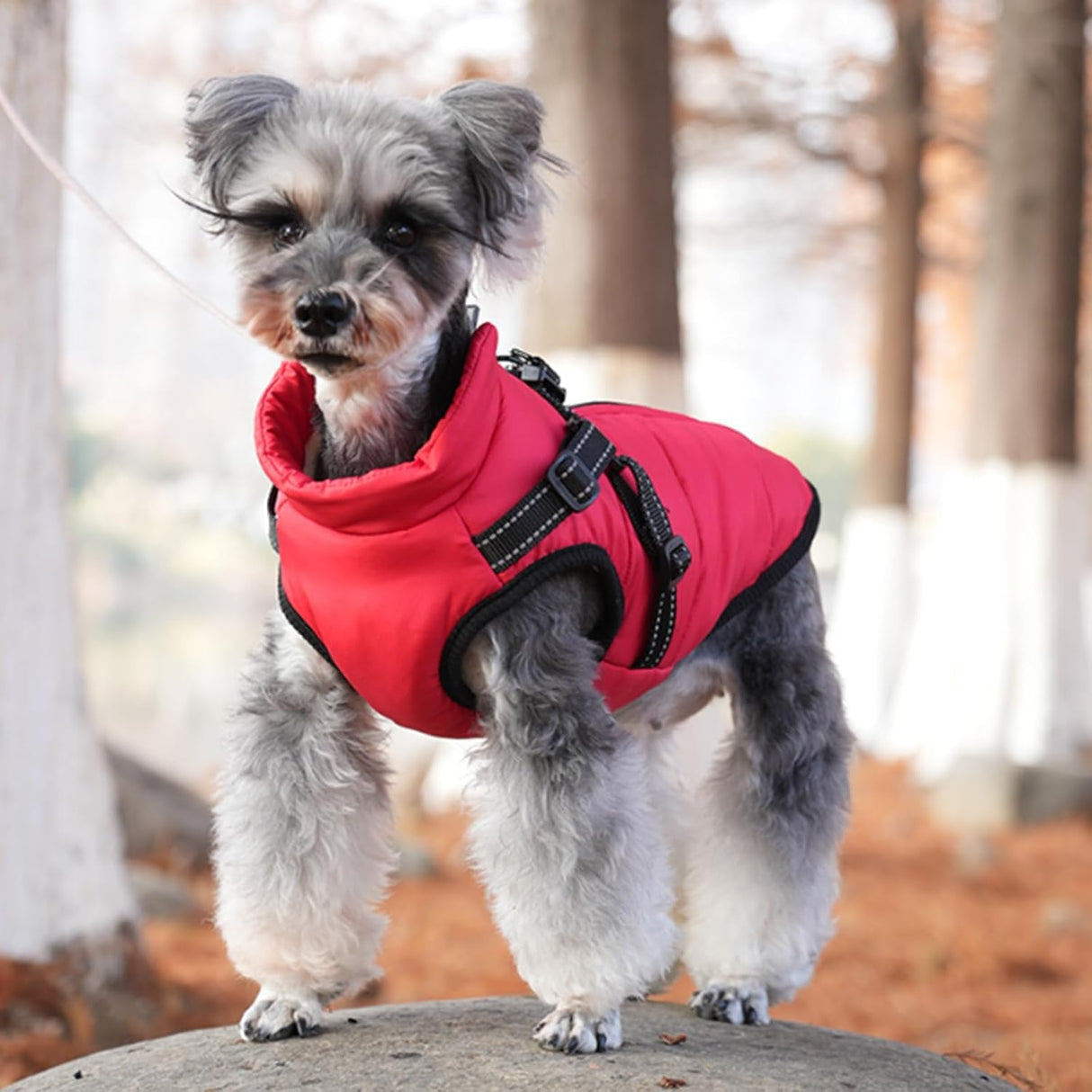 Furry King Dog Winter Coat, 3 in 1 Winter Jacket for Dogs, Furry Dog Jacket with Harness, Waterproof Windproof Dogs Snow jacketwith Zipper(Blue,5XL)