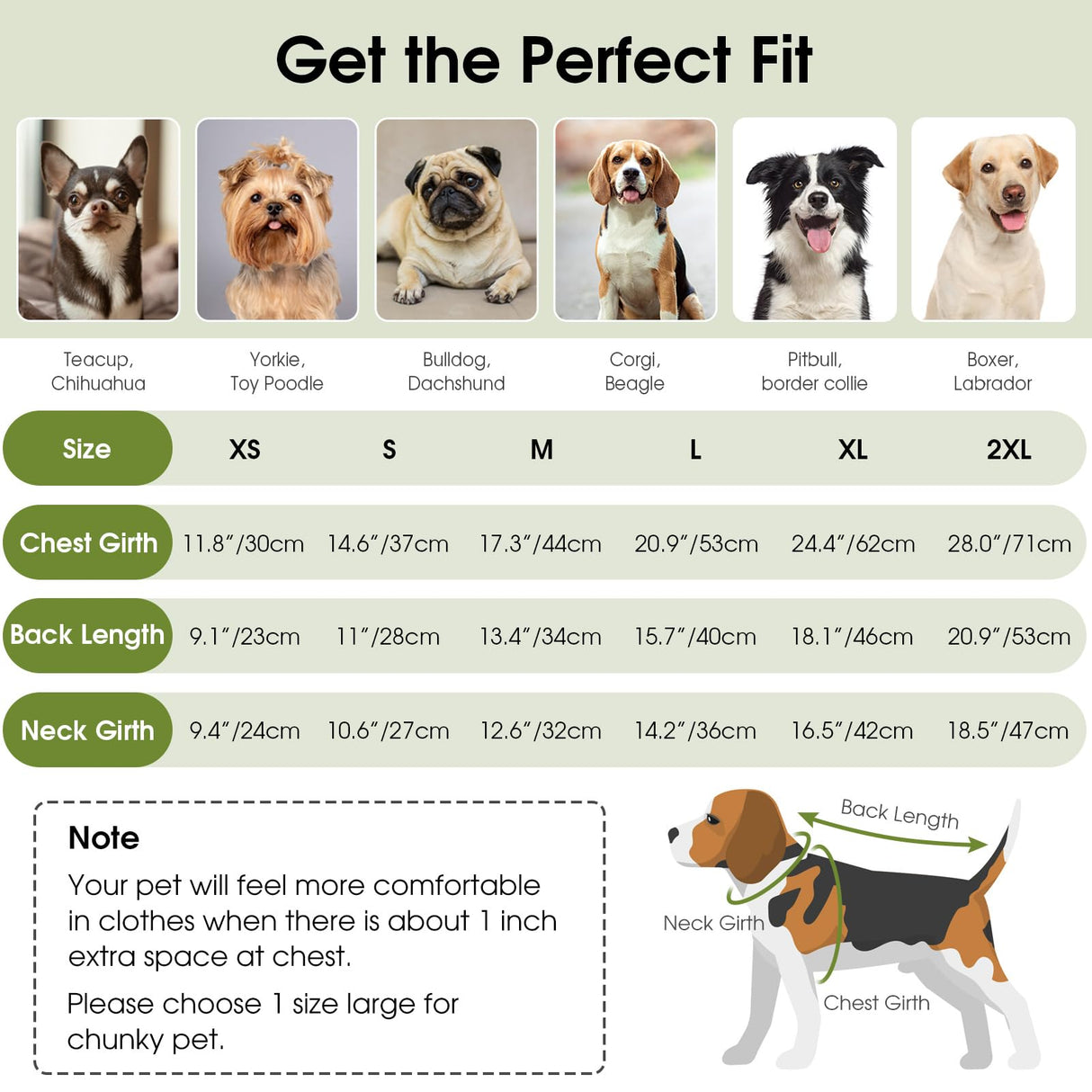 Queenmore Dog Sweater, Knit Turtleneck Long Sleeve Pet Sweater for Winter, Soft Warm Pullover with Stylish Patterns, Comfortable Cozy Dog Clothes for Small Dogs Puppy Chihuahua Yorkie (Green,XS)