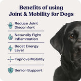 Summit Canine Joint and Mobility Supplement for Large Dogs, All Natural Liquid Chondroitin with Liposomal Delivery for Arthritis, Hip & Joint Support Vitamin, (Dogs 75+lbs)