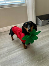 Midlee Strawberry Halloween Dog Costume (Large)