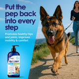 Liquid Glucosamine for Dogs - Advanced Joint Supplement for Dogs Ages with Chondroitin, MSM & Hyaluronic Acid - Repairs & Protects Joints, Supports Mobility & Pain Relief - 16oz
