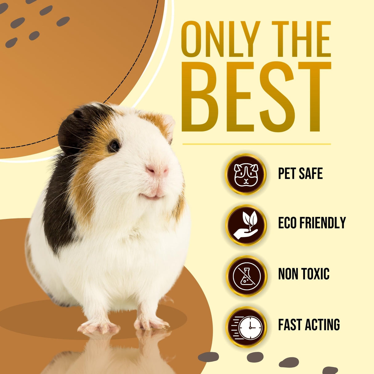 Riverside Essentials 32oz Guinea Pig Cage Cleaner & Deodorizer Spray - Safe & Effective Odor Eliminator for Small Animal Cages - Non-Toxic & Pet Safe Friendly Formula - Made in the USA